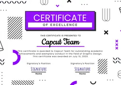 Non-marketing Certificate of Excellence