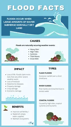 Non-marketing Infographics Flood