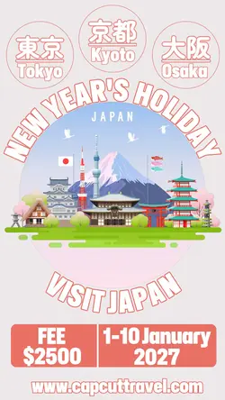 New Year's Holiday Visit Japan Instagram Story