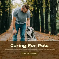 Pet industry Product Display