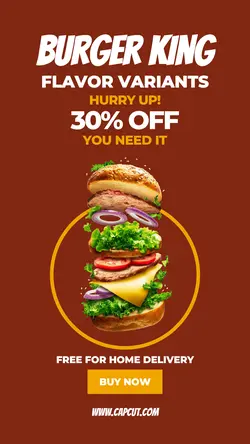 Burger King Promo Instagram Story