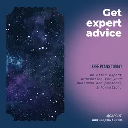 Internet Sales Promotion
