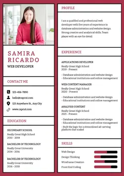 Resume Business Web Developer Modern