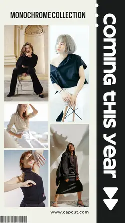 5 multi- New Collection Fashion Product monochrome