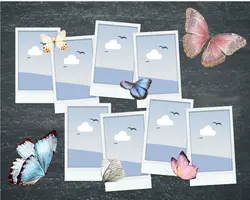 Non-marketing Photo College Butterfly