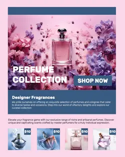Fashion Perfume Collection Display