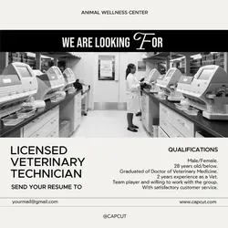 Hiring LinkedIn Post