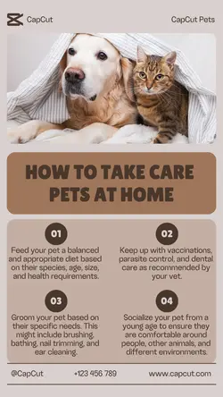 Pet Care at Home Display Instagram Story