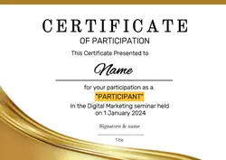 NON-MARKETING CERTIFICATE OF participation gold