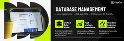 Internet DATABASE Team introduction business