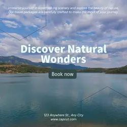 Travel industry General