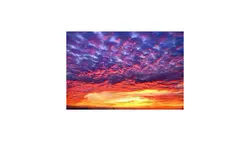 记录营销图片1