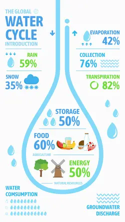 Education Water Cycle Display Cute(cc web)