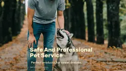 Pet industry Product Display