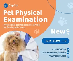 Pet Physical Examination Event promotion Business