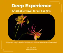 Travel industry Product Display