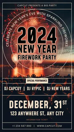 New Year Firework Party Instagram Story