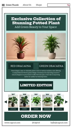 Household Accessories Potted Plant Instagram Story