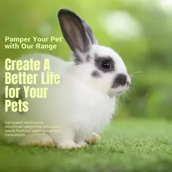 Pet industry Social Cards