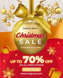 Christmas Sale Template