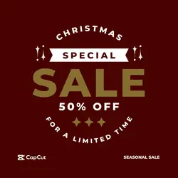 Christmas Sale