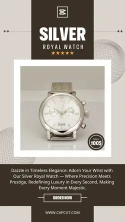 Silver Royal Watch Product Display Instagram Story
