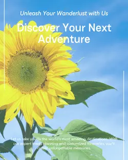 Travel industry General