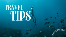 Youtube Thumbnail - Learning