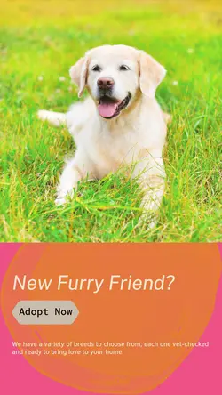 Pet industry New arrivals