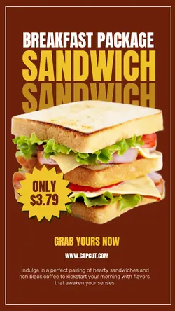Food Sandwich Promotion Instagram Story