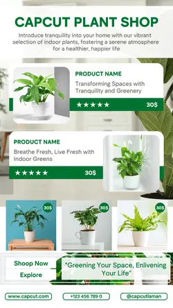 Decorative plant business minimalist template design for Instagram story sales promotion