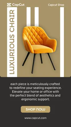 Chair Furniture Product Display