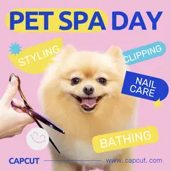 Pet& pet grooming Branding