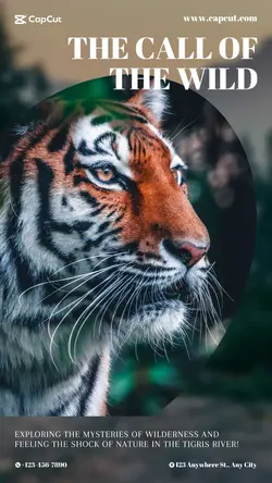 Travel Wildlife Activities Minimalist