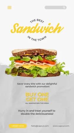 Food Sandwich Promotion Instagram Story