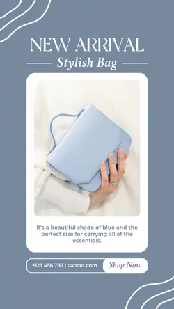 Stylish Bag Product Display Tik Tok Post