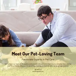 Pet industry Team introduction