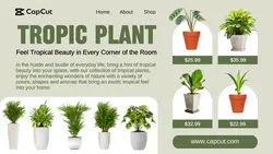 Household and Furniture Tropic Plant Twitter Post