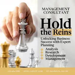 Management Consultant Business Instagram Post