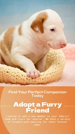 Pet industry General