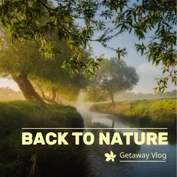 Back to Nature Youtube Thumbnail