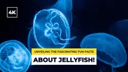 Youtube Thumbnail Learning