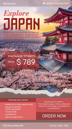 Other Japan Travel Promotion Instagram Story