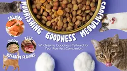Cat Food Post