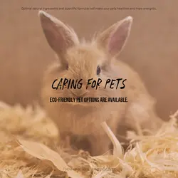Pet industry Product Display