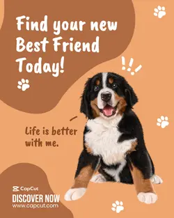 Pet Shop - Instagram Poster