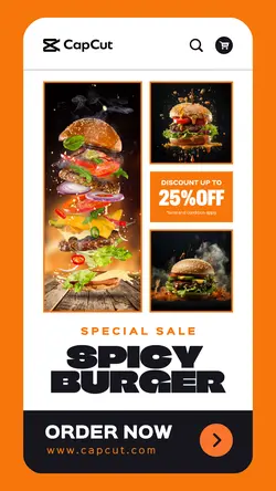 Spicy Burger Special Sale Instagram Story