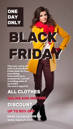 BLACK FRIDAY PROMOTION INSTAGRAM STORY