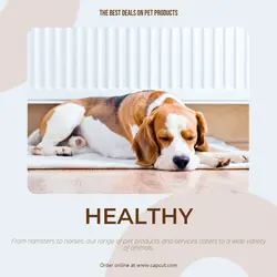 Pet industry Sales Promotion