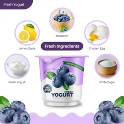 E-commerce Food Blueberry Yogurt Product Callout